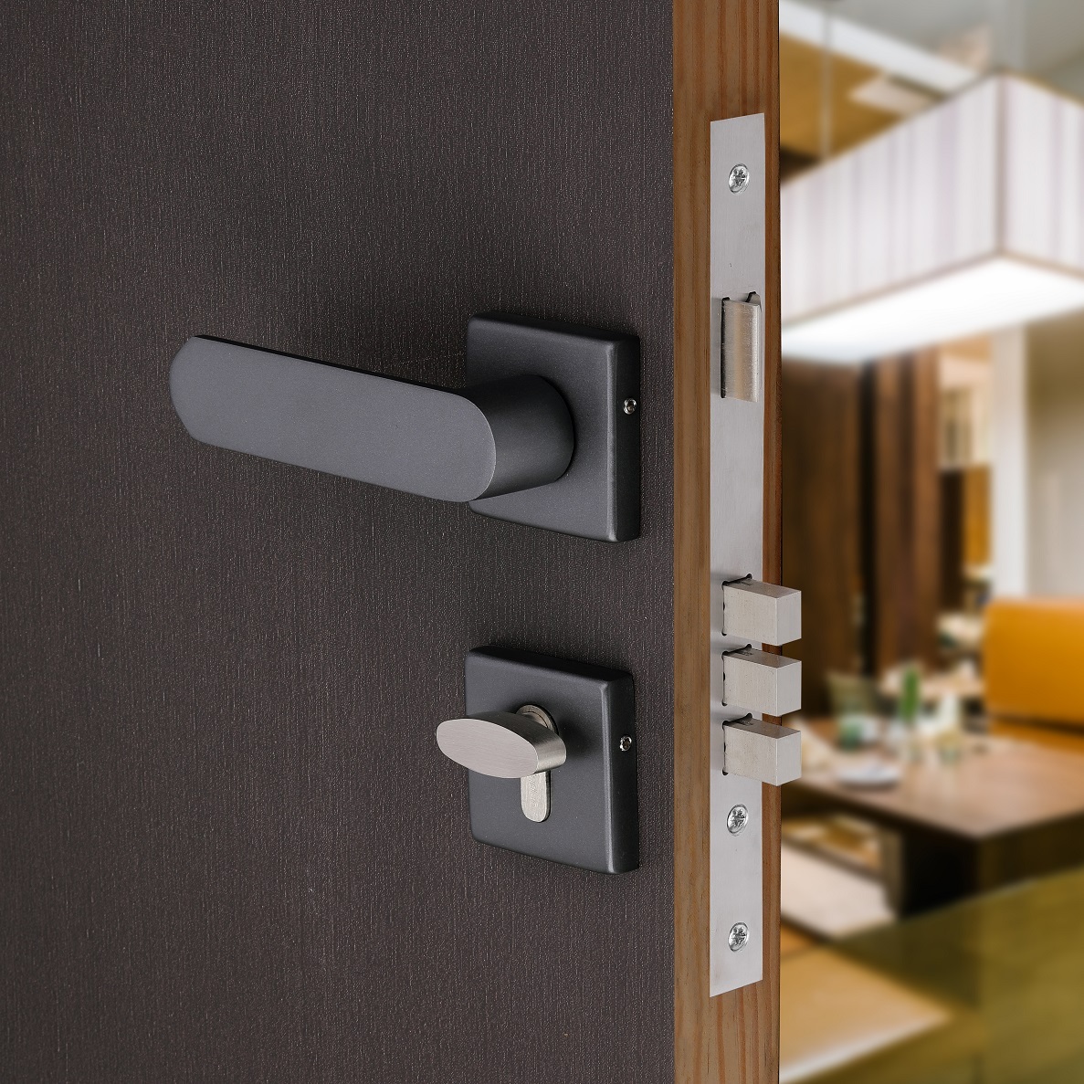 Good Door Handle Types – HomesFeed