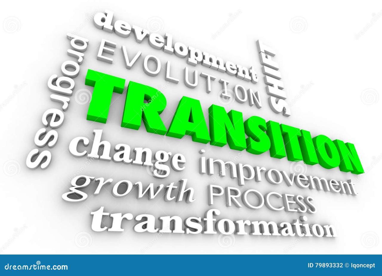 Transition Leadership PowerPoint Presentation Slides - PPT Template