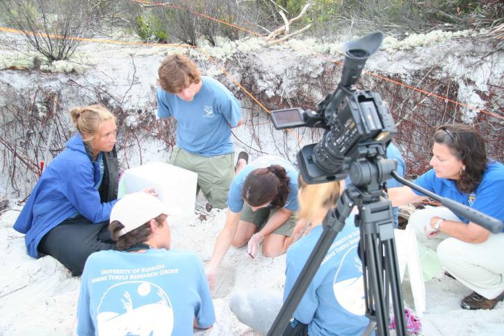 Free Images : vintage, building, old, furniture, education, interior ...